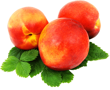 Fruit img