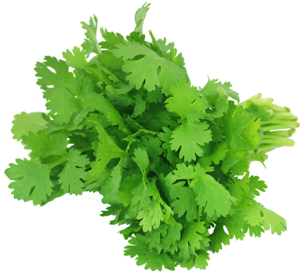 Herbs img