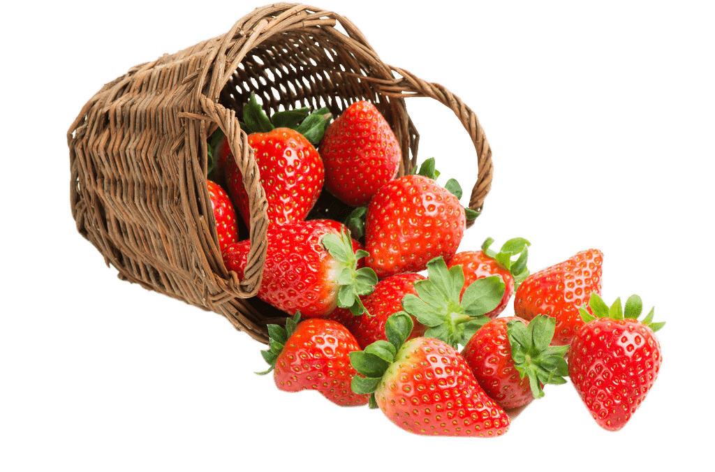 Fruit img